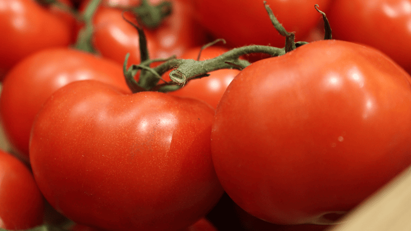 Ayurveda Hates Tomatoes … or Does It?