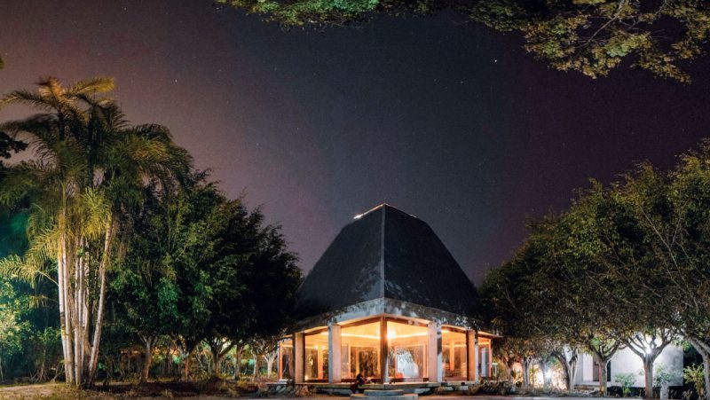 A Jungle Immersion in the Amazon