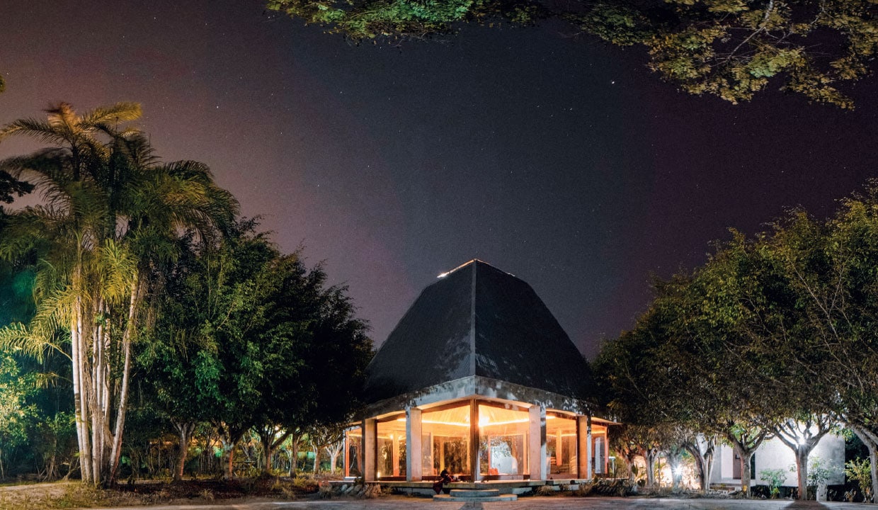 A Jungle Immersion in the Amazon