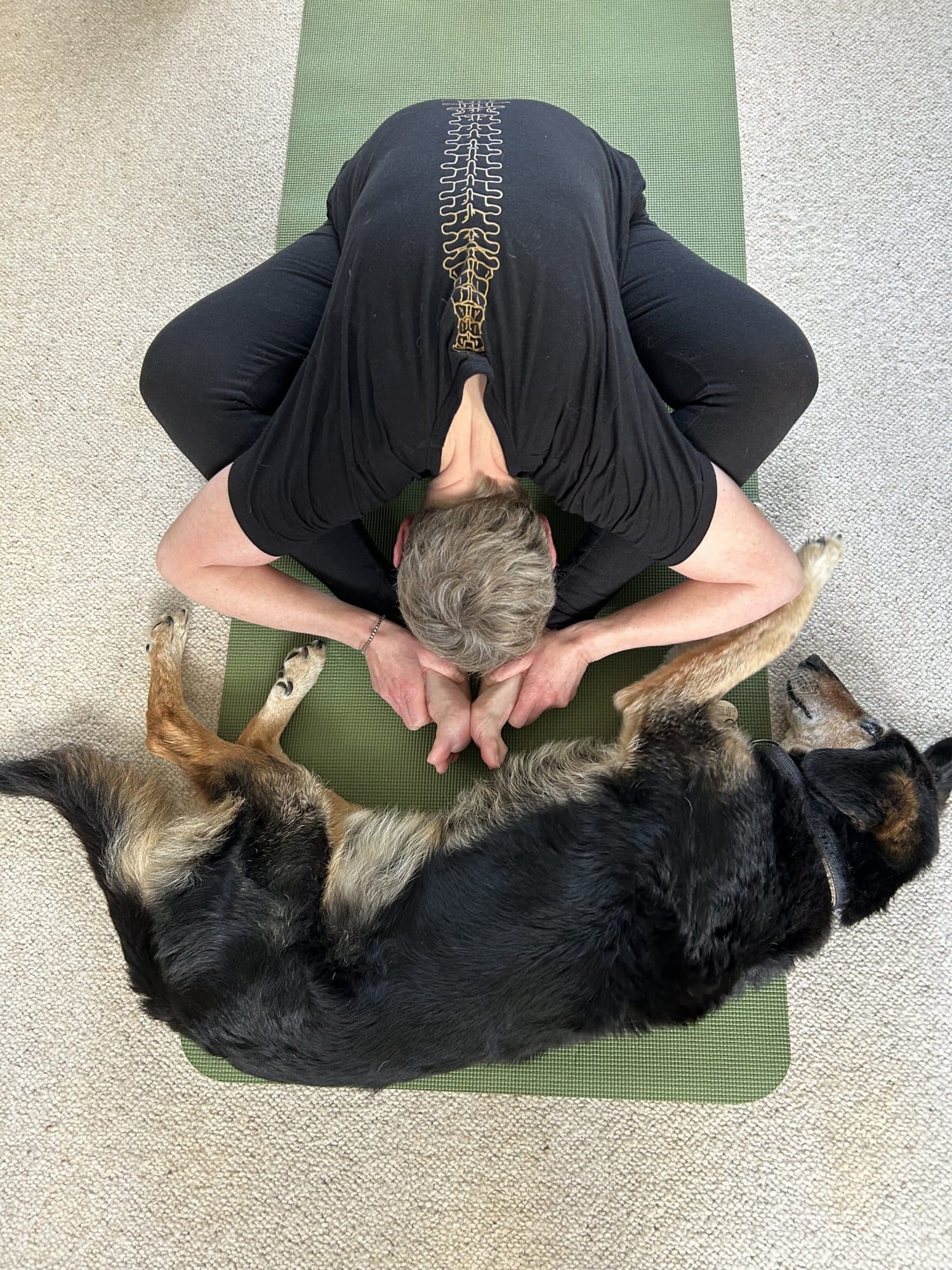 The Connection Between Pets and Yoga Mats