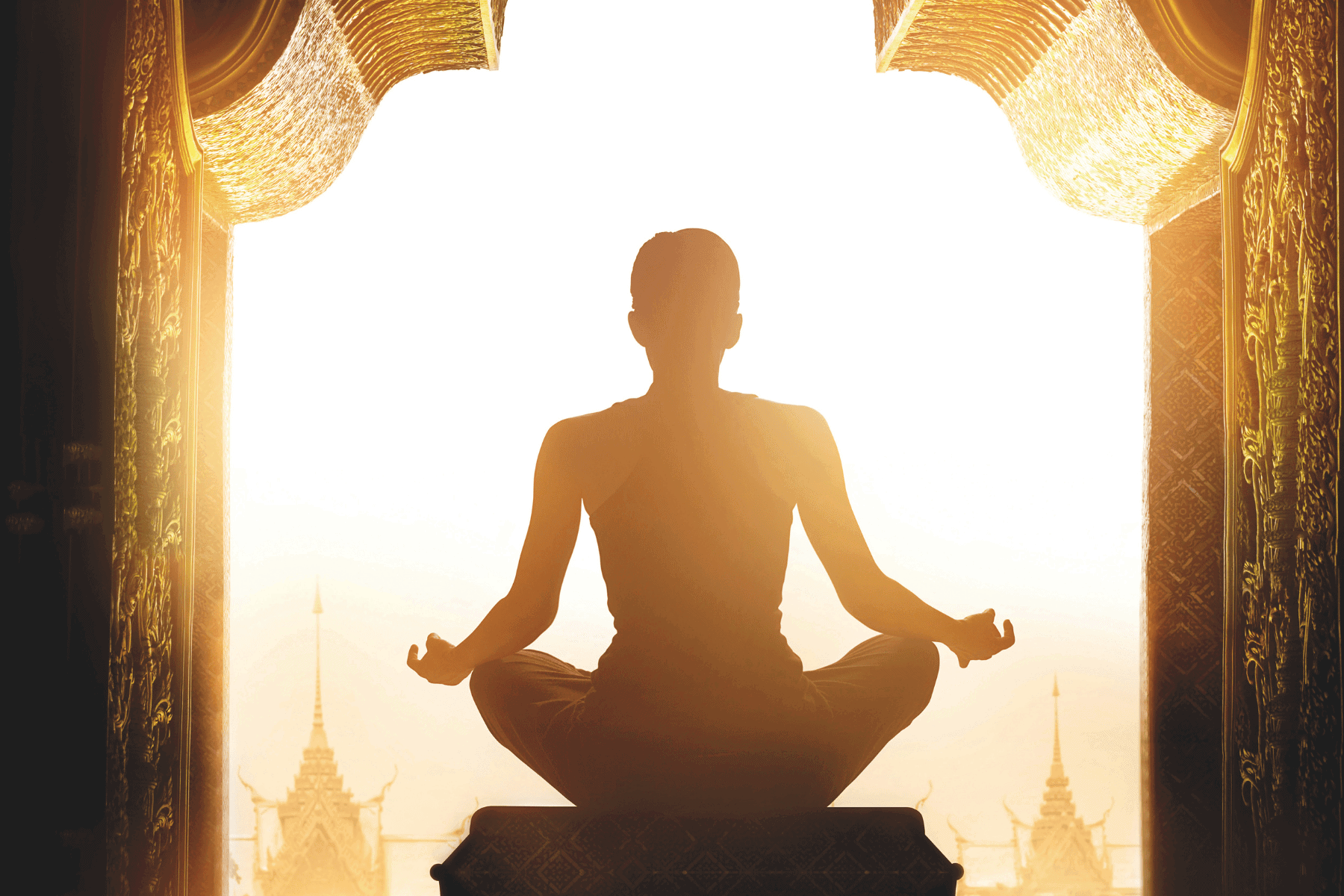 Ayurveda through a contemporary lens Ayurveda through a contemporary lens