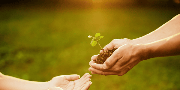 The Art of Ahimsa: A Path to Conscious Living