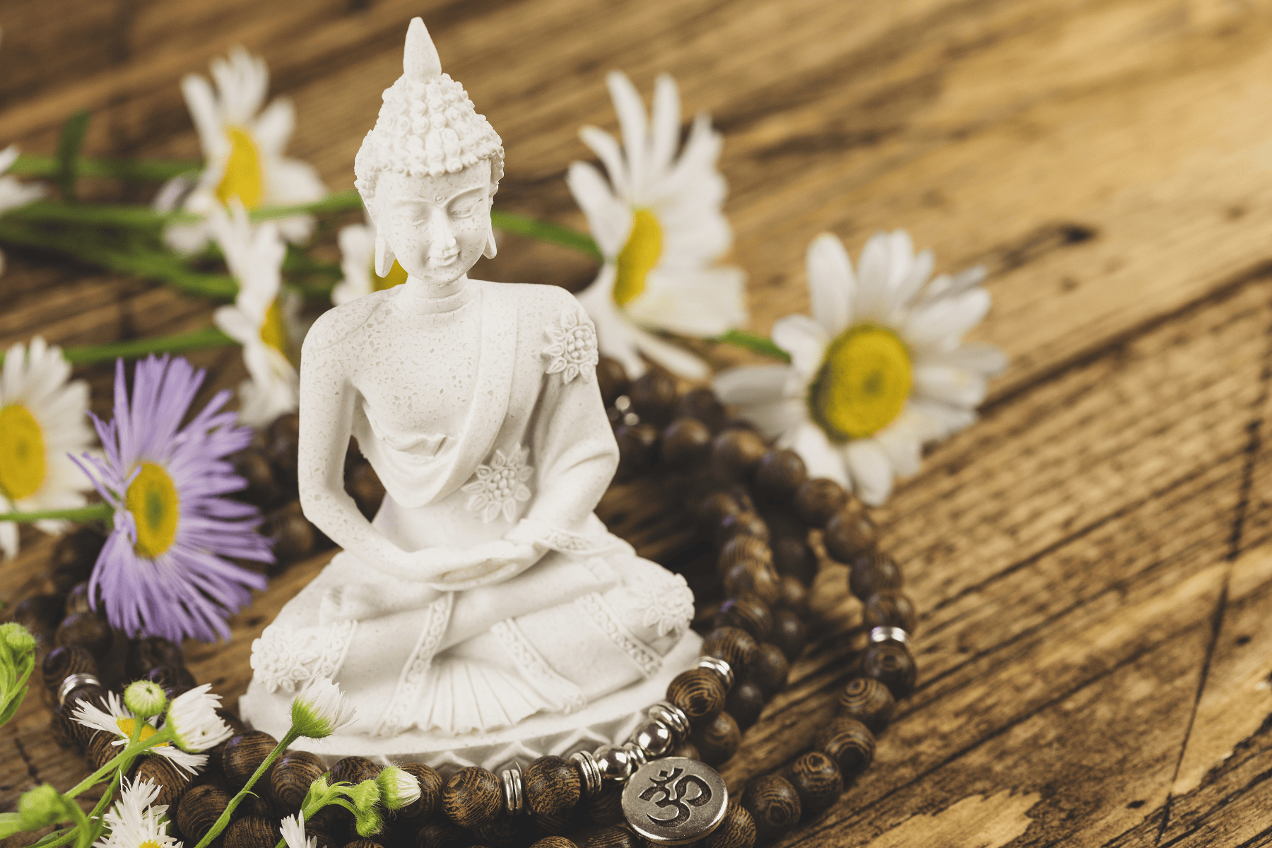 The Four Noble Truths: Buddhist Wisdom for Your Yoga Journey The Four Noble Truths: Buddhist Wisdom for Your Yoga Journey