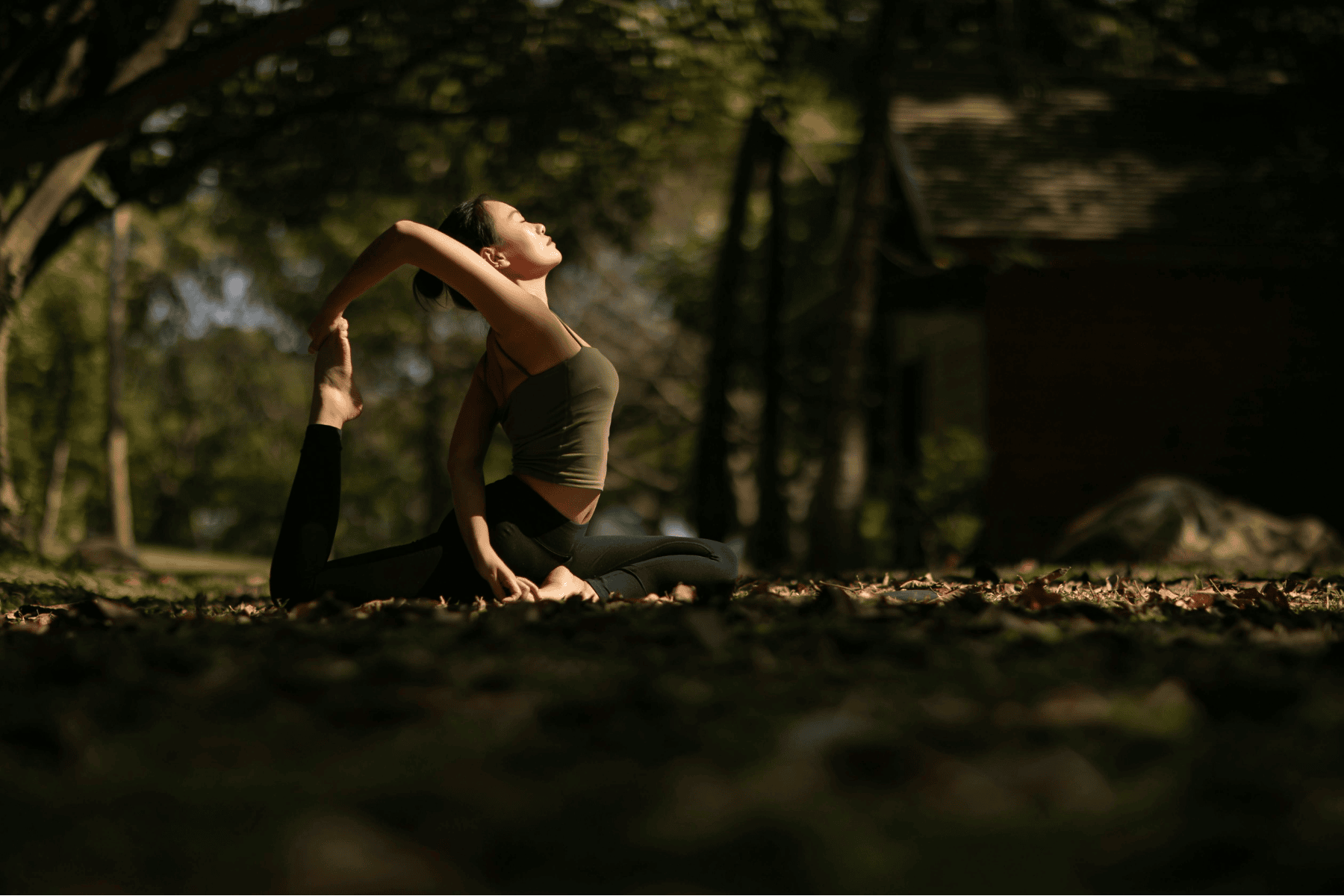 Creating Your Sanctuary