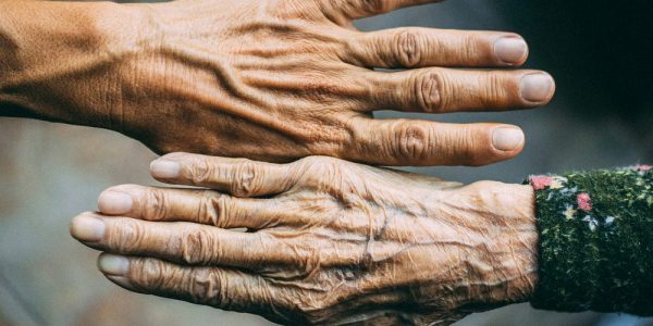 This Harvard Scientist Says Aging Is Optional—Here’s What That Actually Means