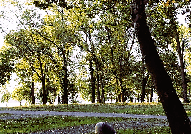 800-and-Forward-Fold