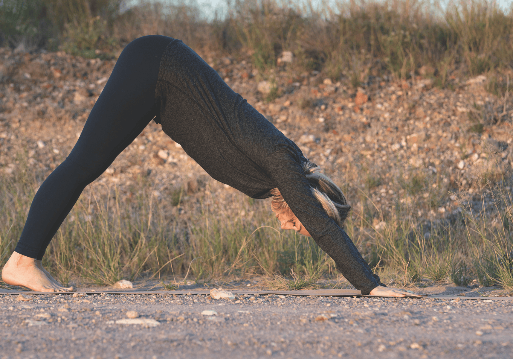 Downward Dog Downward Dog