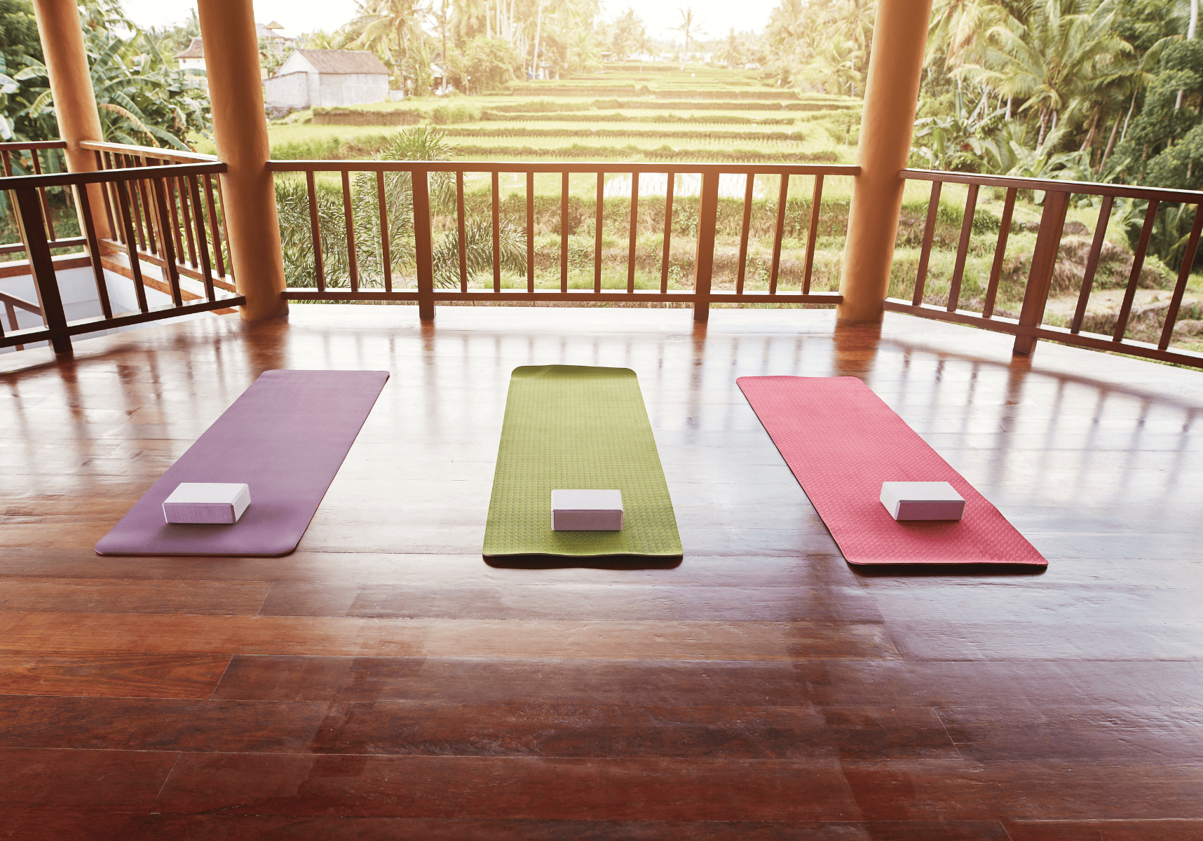Modern yoga studio, serene space with yoga mats laid out under the
