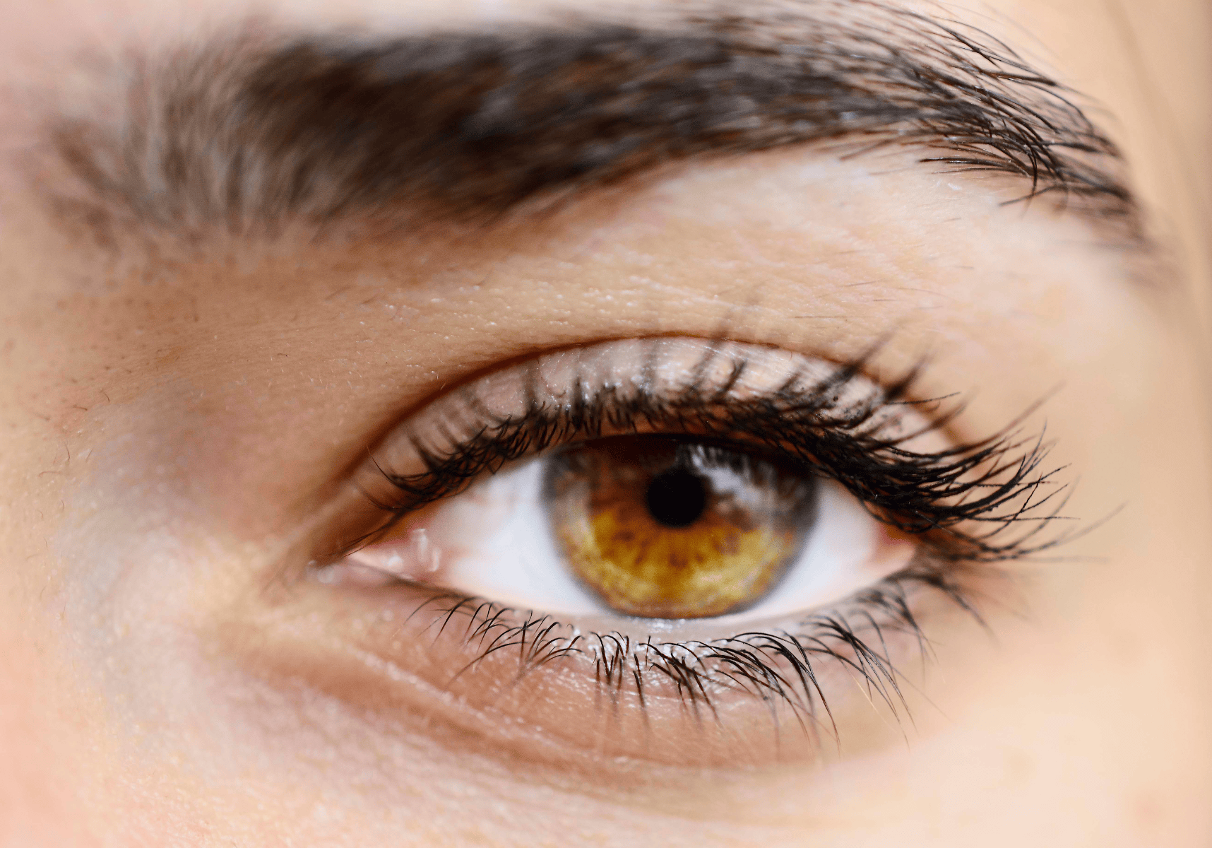 The Best Foods for Healthy Eyes