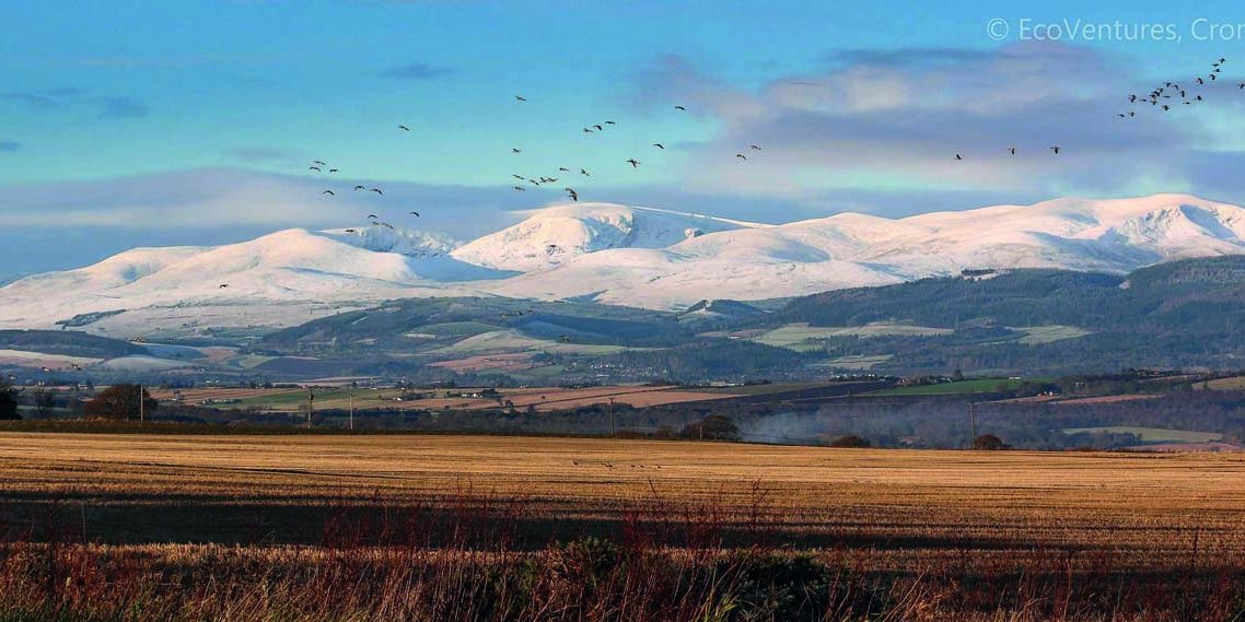 Cromarty (2) Cromarty (2)