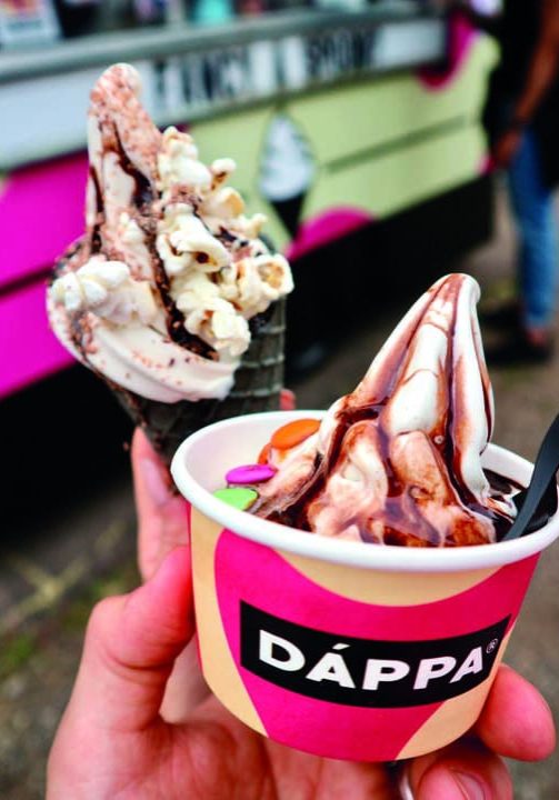 DAPPA Vegan Camp Out