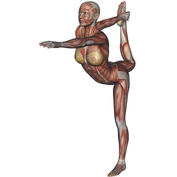 Dancer pose - OM in 30 seconds