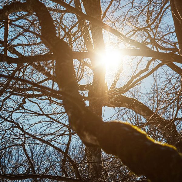 Get-Outside Outside with nature