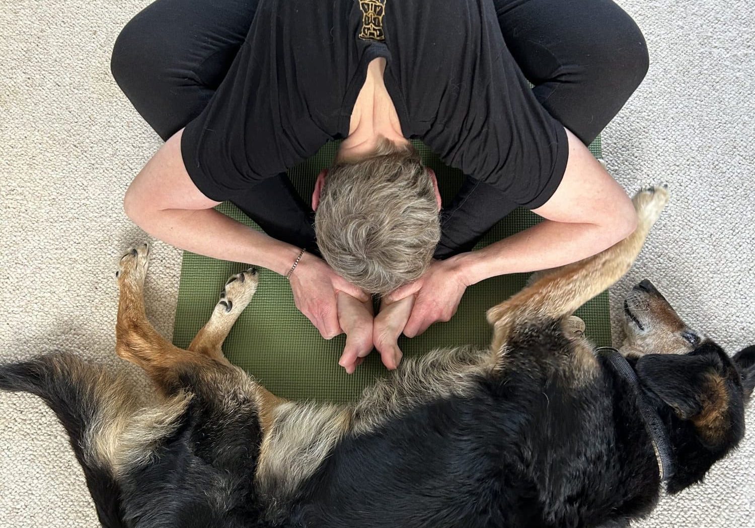 The Connection Between Pets and Yoga Mats The Connection Between Pets and Yoga Mats