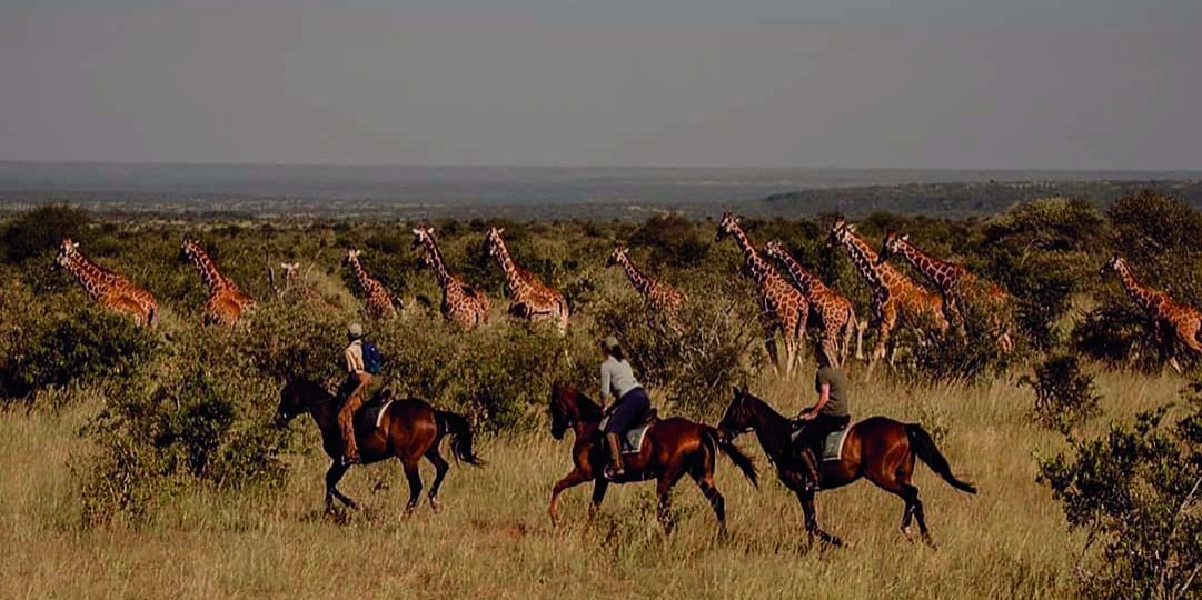 safari yoga retreat