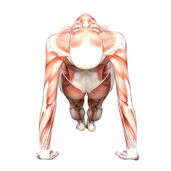 Inclined-Plane-pose-2 Inclined Plane Pose