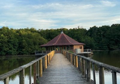 Lake View Yoga
