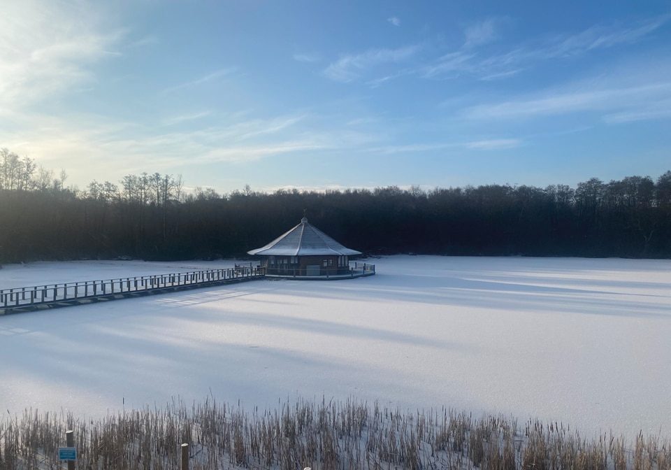 Lake View Yoga