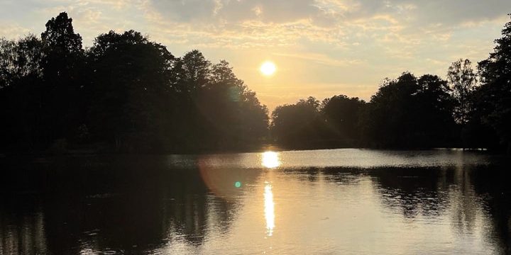 Lake View Yoga