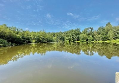 Lake View Yoga