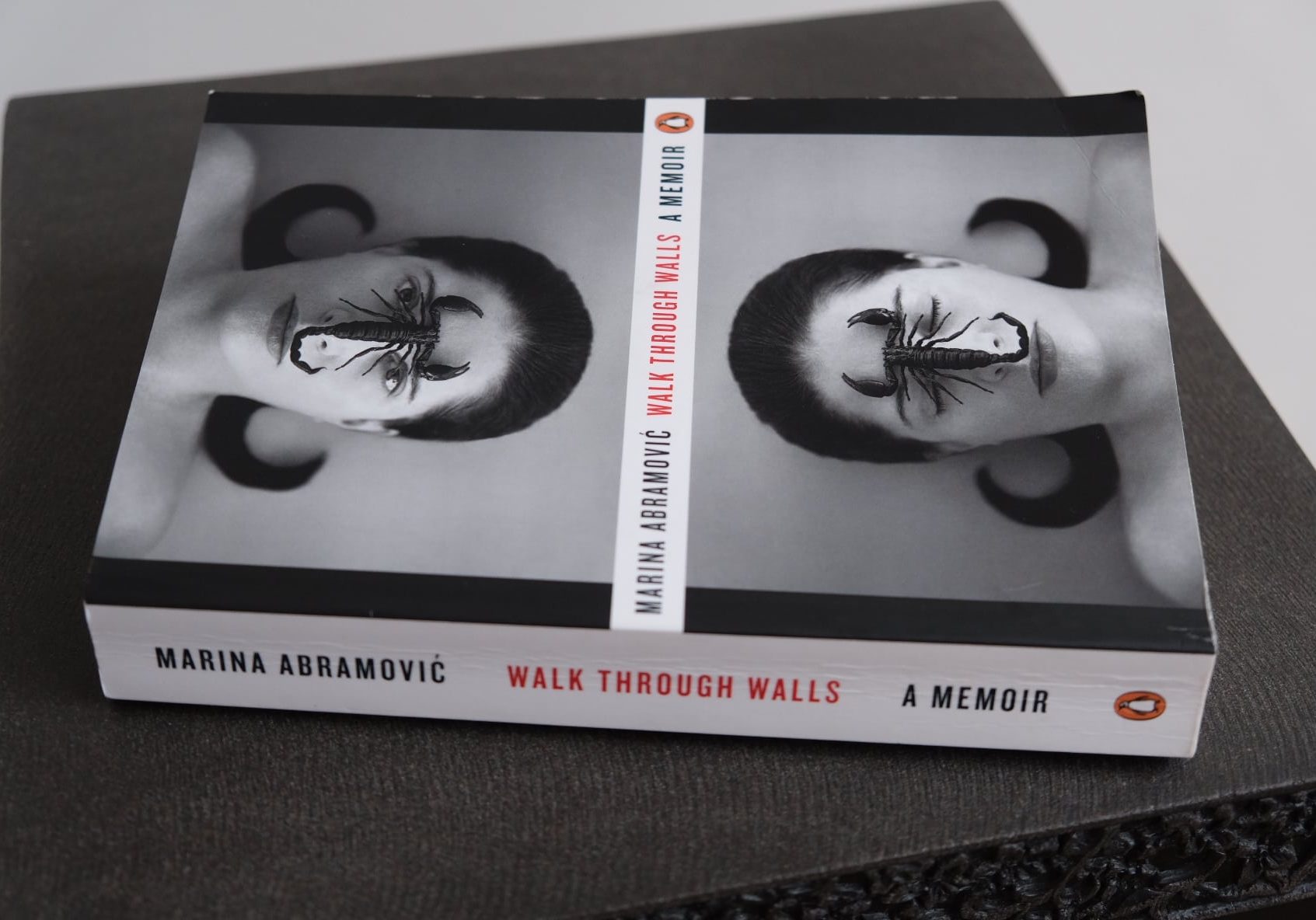 Marina-Abramovic-memoir-2