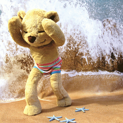 Meddy-Teddy-3 Meddy-Teddy-3