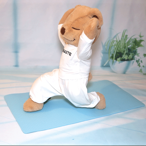 Meddy-Teddy-5 Meddy-Teddy-5