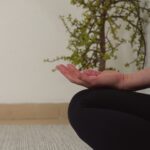 Meditation-Close-Small-square.jpeg