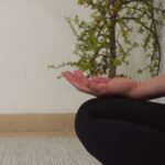 Meditation-Close-Small-square.jpeg Meditation-Close-Small-square.jpeg