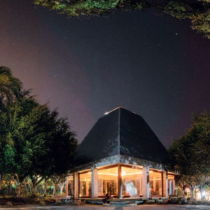 A Jungle Immersion in the Amazon
