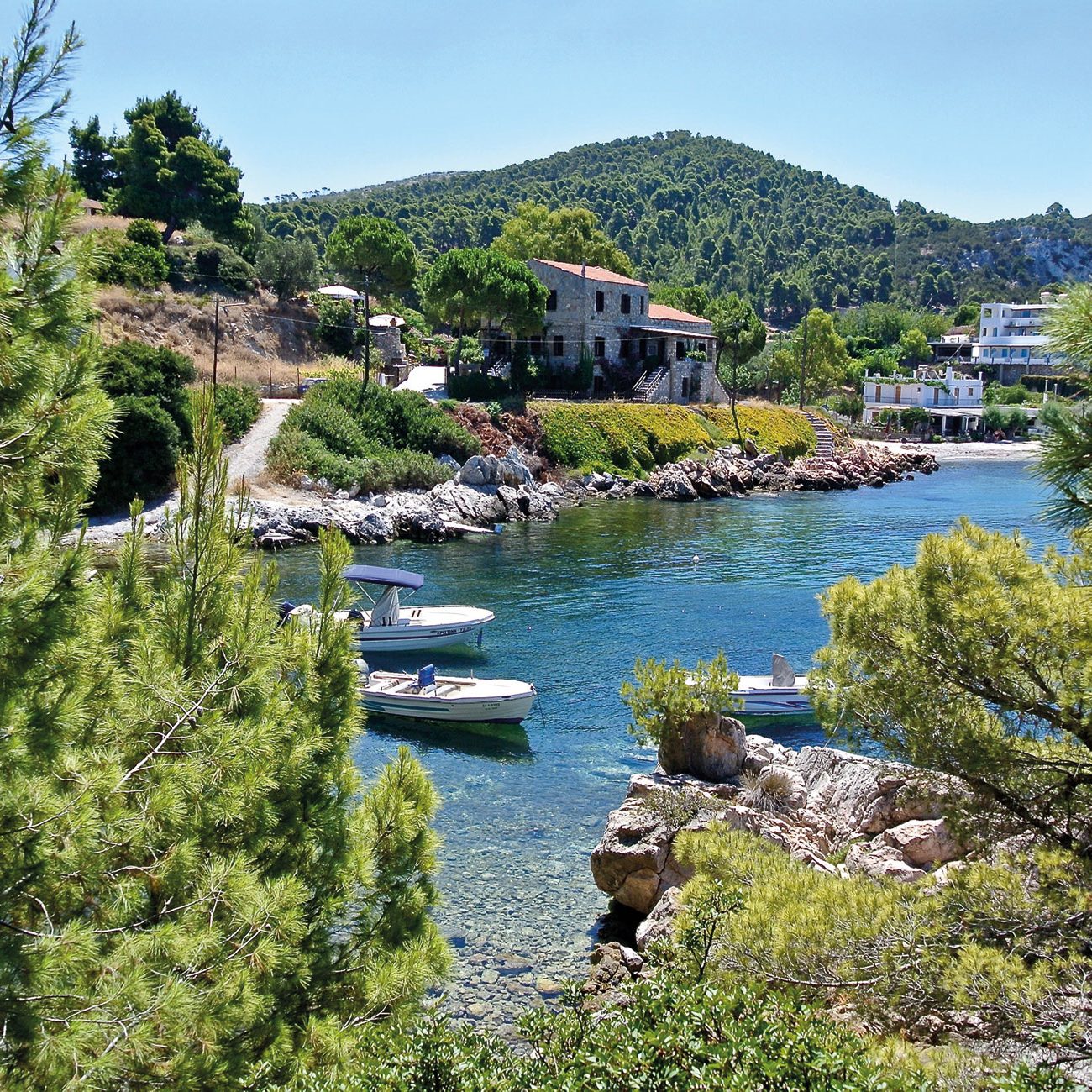 Skyros-Holidays