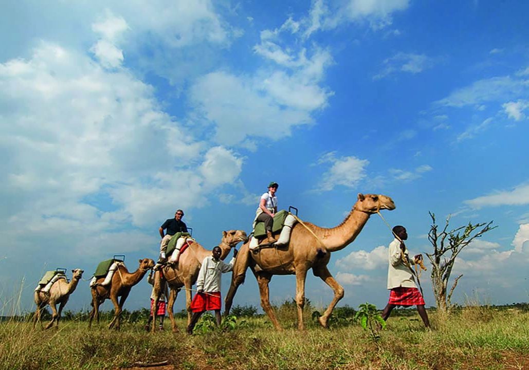 safari yoga retreat