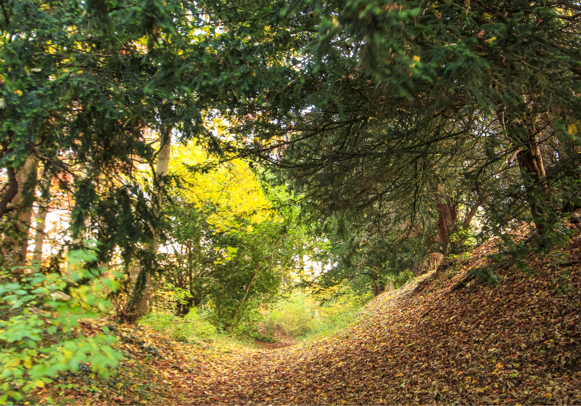 places to meditate 7 places to meditate 7