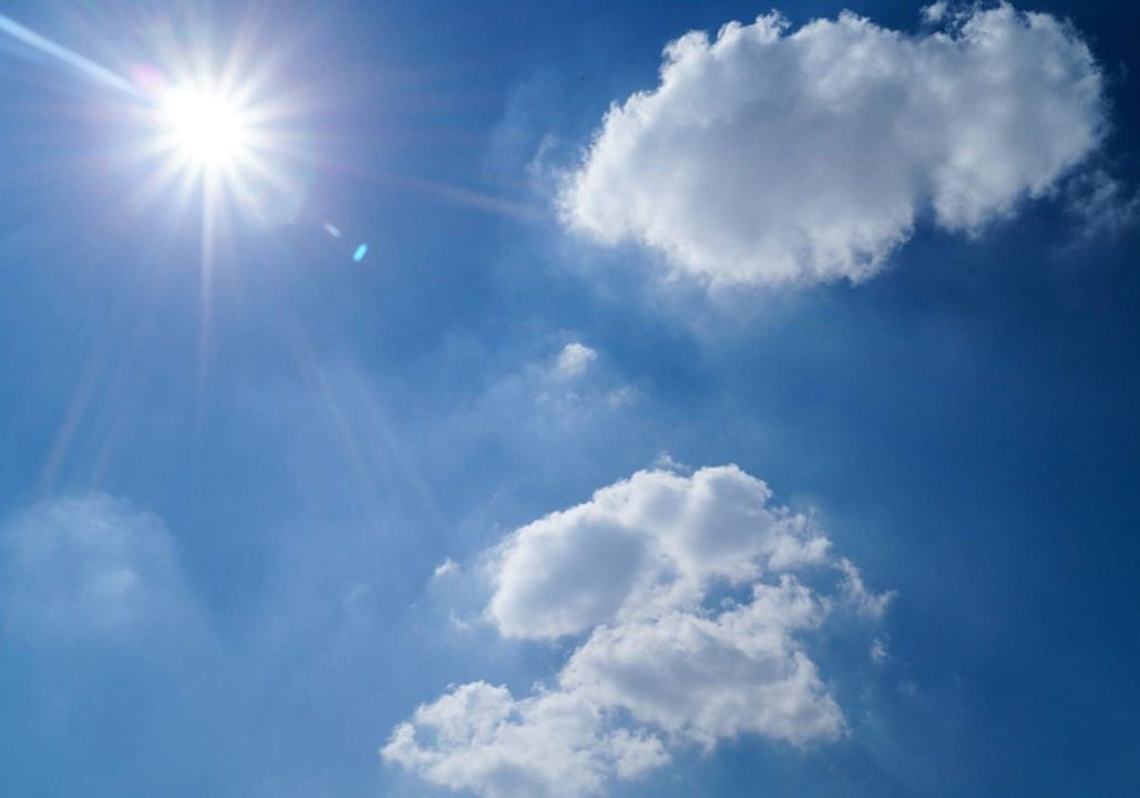 Vitd Vitamin D