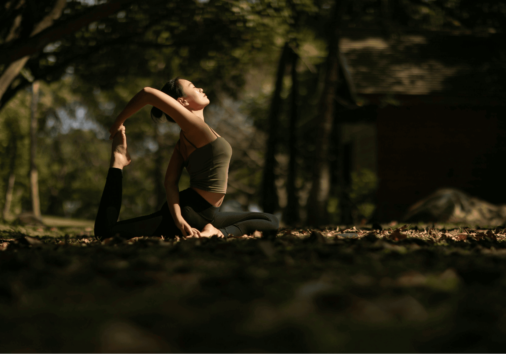 Creating Your Sanctuary