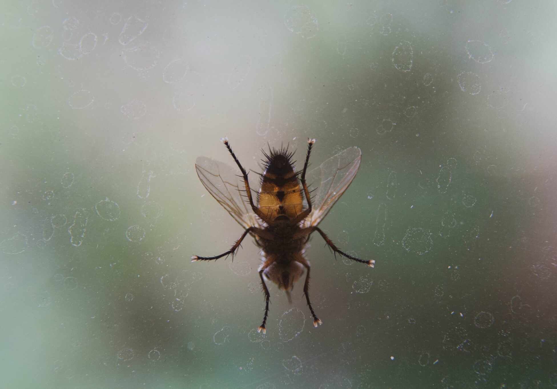 glen-carrie-WFuC7MpE180-unsplash-1-scaled Trapped