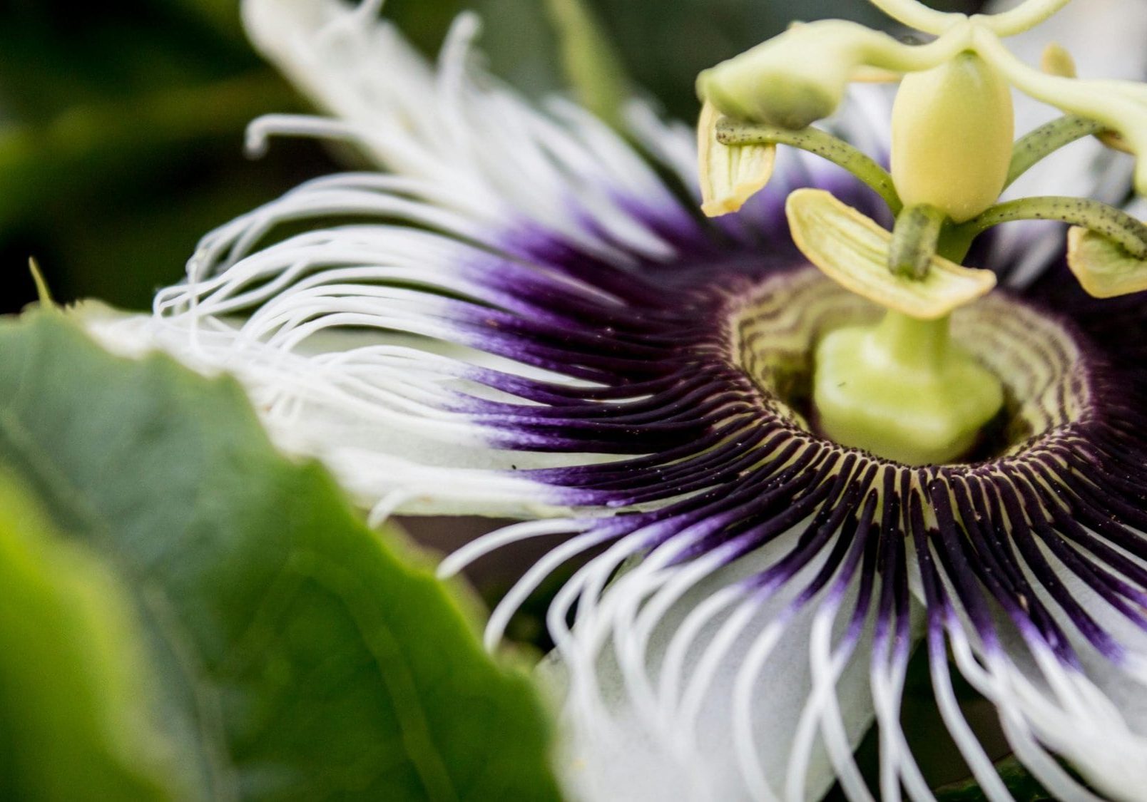 pexels-hikaique-102307-1-scaled