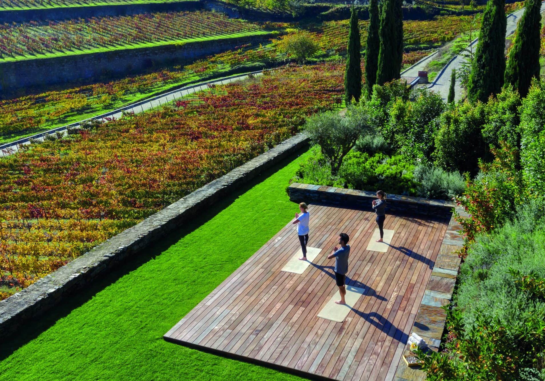 vineyard_yoga_hres vineyard_yoga_hres